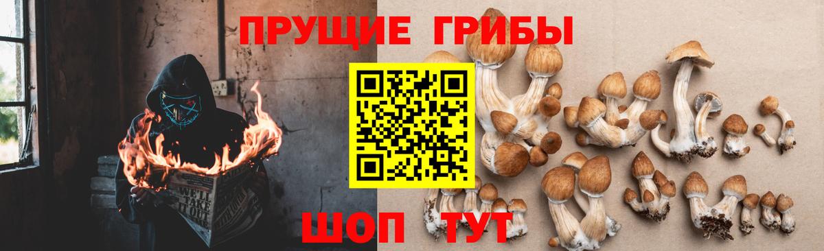 Галлюциногенные грибы ЛСД Грязи